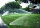 (温哥华) 夏日草地浇水限制 6月1日起实施