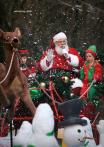 温哥华「圣诞巡游」穿暖点去看 Rogers Santa Claus Parade