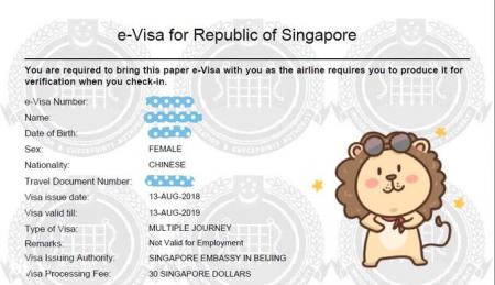 ✪ 申请新加坡旅游电子签证 Machine Readable Zone ID填写