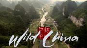 ☄ BBC《Wild China》美丽中国 (Wild系列)